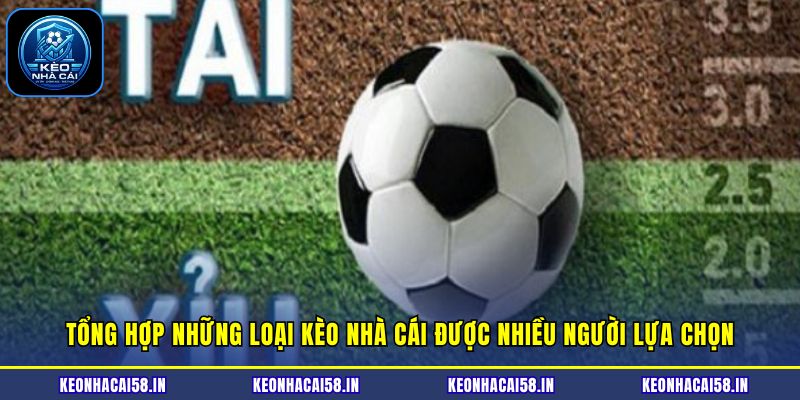 Kèo Nhà Cái 12 Tổng hợp những loại kèo nhà cái được nhiều người lựa chọn