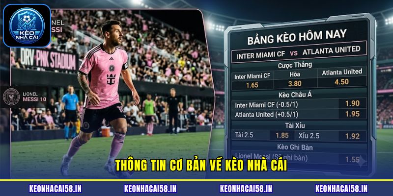 Kèo Nhà Cái 10 Những thông tin cơ bản về Kèo nhà cái