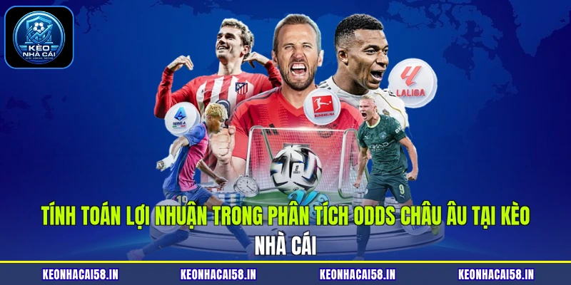 Tính toán lợi nhuận trong phân tích odds châu Âu tại Kèo Nhà Cái